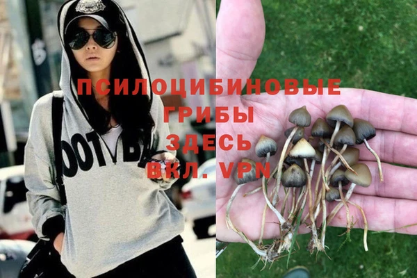 марки nbome Алексеевка