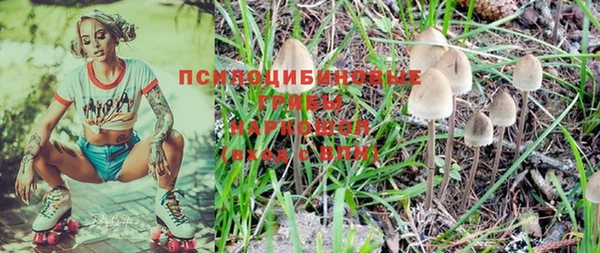 круглые Алзамай