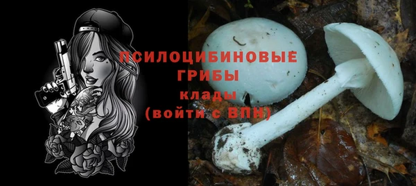 круглые Алзамай