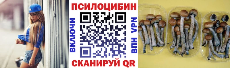 Псилоцибиновые грибы Psilocybine cubensis  Энгельс 