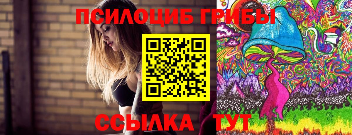 купить наркоту  Вход с VPN  Энгельс  Псилоцибиновые грибы Psilocybe 
