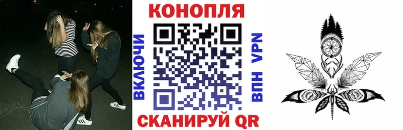 Канабис план shop Telegram Энгельс кракен зеркало